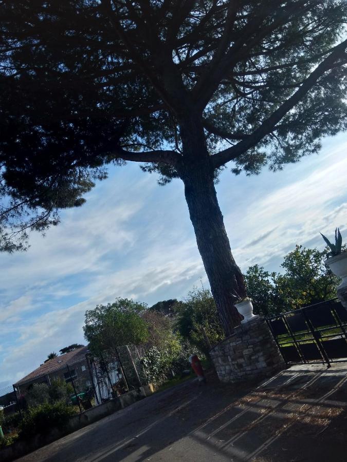 Un Nid Douillet En Bord De Plage !! Lucciana  Zewnętrze zdjęcie